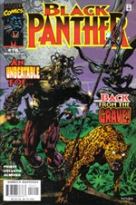 Black Panther #16