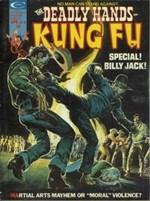 Deadly Hands of Kung Fu, The #11