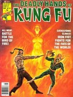 Deadly Hands of Kung Fu, The #24