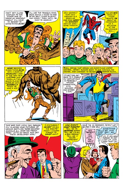 Page #5 from Amazing Spider-Man, The (1963 series) #15