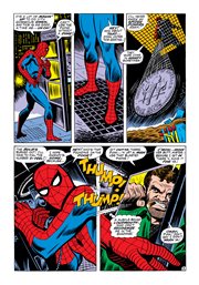 Page #3from Amazing Spider-Man, The (1963 series) #78
