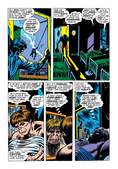 Page #6 from Amazing Spider-Man, The (1963 series) #110