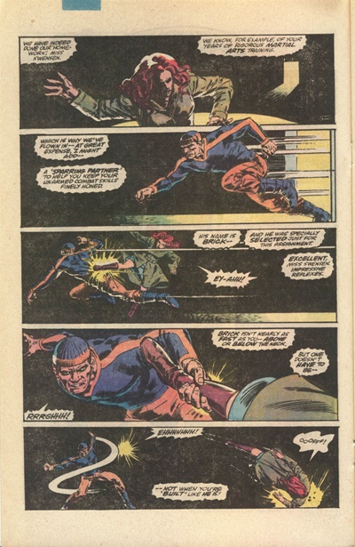 Page #5 from Spitfire and the Troubleshooters (1986 series) #8