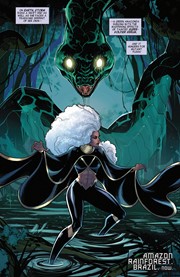 Page #4 from Storm (2024 series) #7