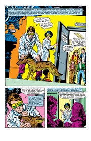 Page #5 from Incredible Hulk, The (1968 series) #294